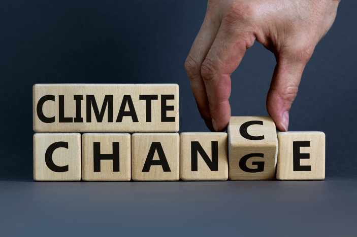How achieving climate neutrality of your business helps to combat climate crisis.