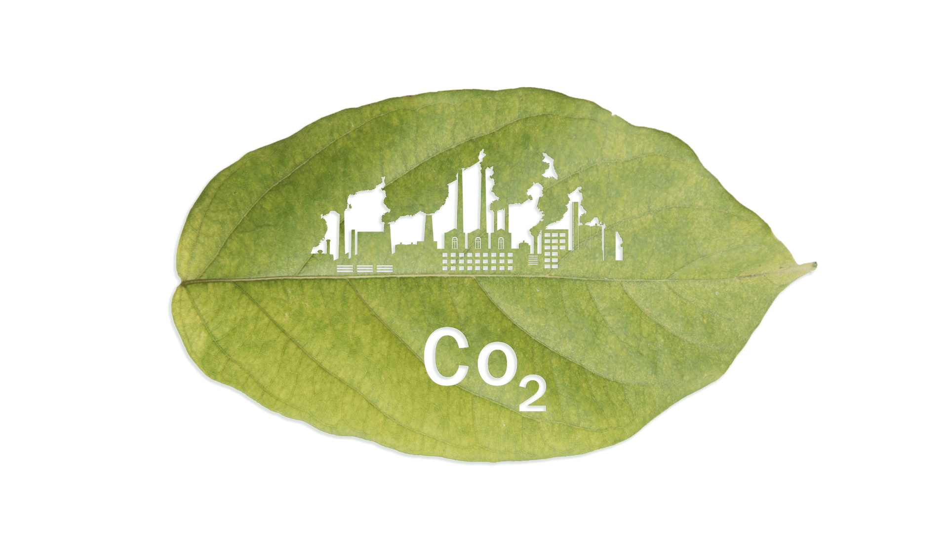 Product carbon footprint vs. corporate carbon footprint  