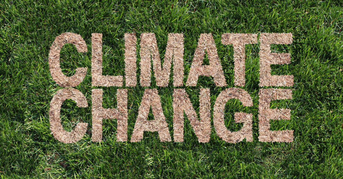 What are the causes of climate change and how is it affecting the world?